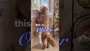 Video post by @claritin on YouTube