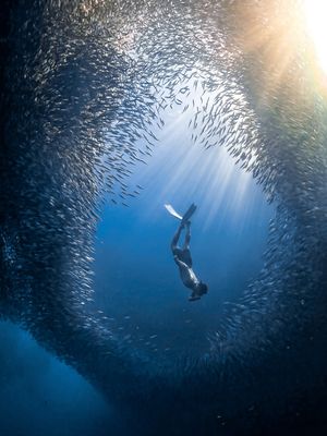Image post by @gopro on Instagram