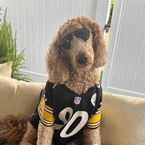 Image post by @SteelersUnite on Twitter