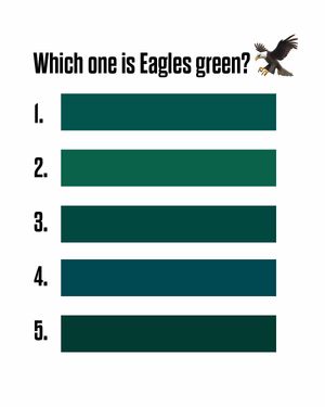 Video post by @philadelphiaeagles on TikTok