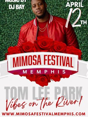 Image post by @unapologeticallymemphis on Instagram
