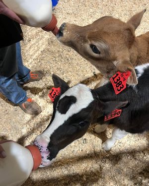 Image post by @nationalwestern on Instagram