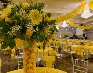 Image post by @alexslemonade on Instagram