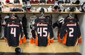 Image post by @anaheimducks on Instagram