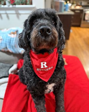 Image post by @ruathletics on Instagram