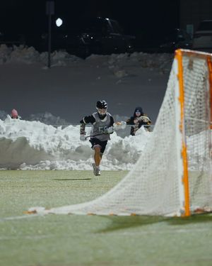 Image post by @bonniesmlax on Instagram