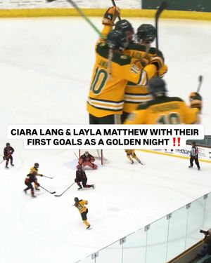 Image post by @ncaaicehockey on Instagram