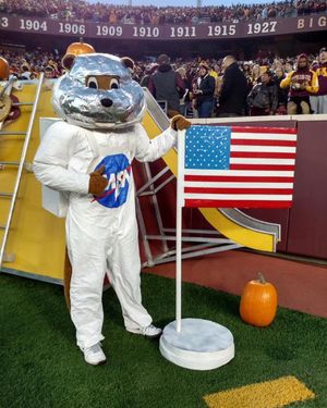 Image post by @goldythegopher on Instagram