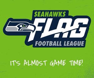Image post by @seahawksflag on Instagram