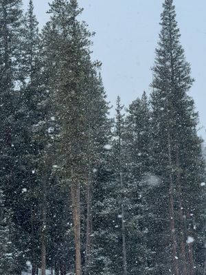 Image post by @coppermtn on Instagram