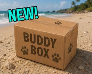 Image post by @shop_buddybythesea on Instagram