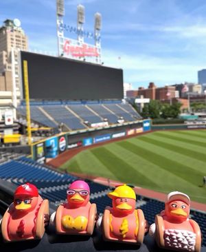 Image post by @clehotdogs on Instagram