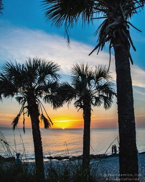 Image post by @visitsarasotacounty on Instagram