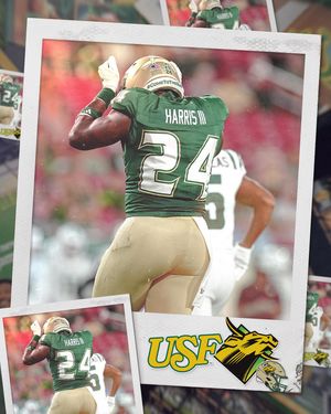 Image post by @usfathletics on Instagram