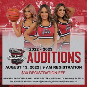 Image post by @rgvvipers on Instagram