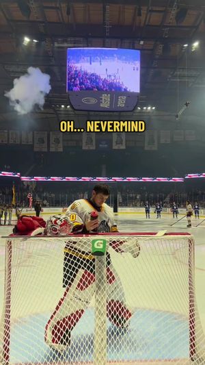 Video post by @chiwolves on TikTok