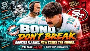 Video post by @dolphinstalk on YouTube