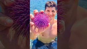 Video post by @nickdigiovanni on YouTube