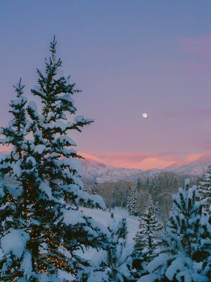 Image post by @alexkittoephotos on Instagram