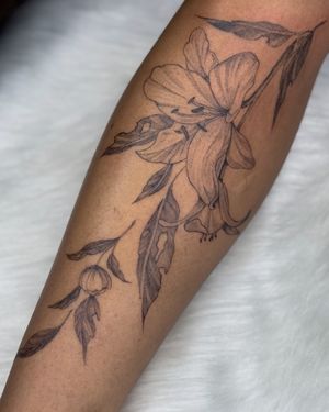Image post by @tamarafalcomer on Instagram