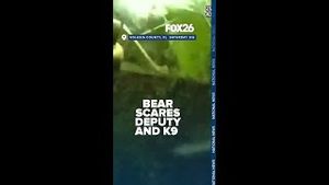 Video post by @kmphfox26 on YouTube