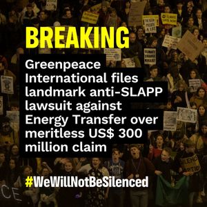 Image post by @greenpeace on Instagram