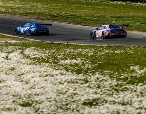 Image post by @racesonoma on Instagram