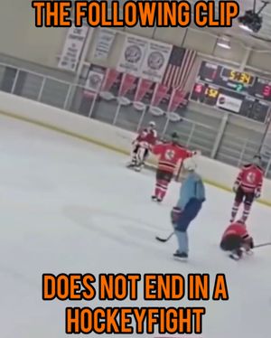 Image post by @hockeyfights on Instagram