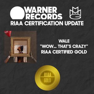 Image post by @wale on Instagram