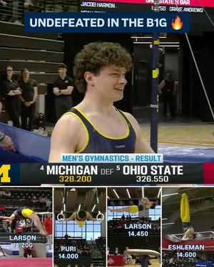 Image post by @b1ggymnastics on Instagram