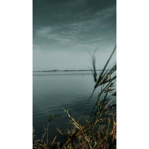 Image post by @kalakaariyaan on Instagram