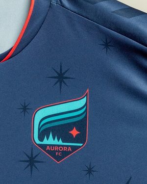 Image post by @mnaurorafc on Instagram