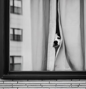 Image post by @fubiz on Instagram