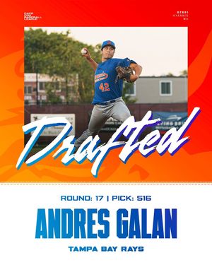 Image post by @harborhawks on Instagram