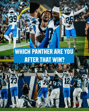 Image post by @panthers on Instagram
