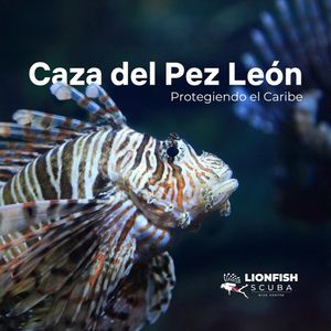 Image post by @lionfishscuba on Instagram
