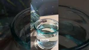 Video post by @vegamour on YouTube