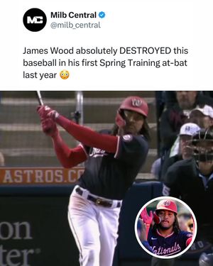 Image post by @milb_central on Instagram