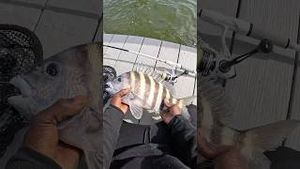 Video post by @hoodfishingentertainment on YouTube