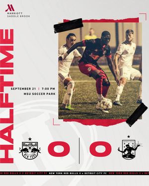 Image post by @NYRBII on Twitter