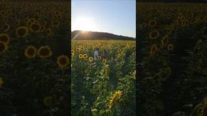 Video post by @dji on YouTube