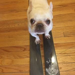 Image post by @j_skis on Instagram
