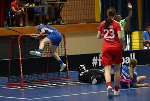 Image post by @iff_floorball on Instagram