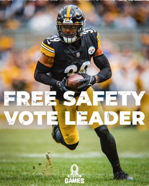 Image post by @steelers on Instagram