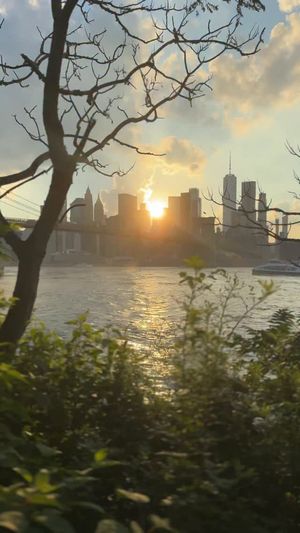 Video post by @dumbo_brooklyn on Instagram
