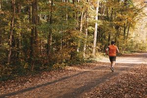 Image post by @eastcoastgreenway on Instagram