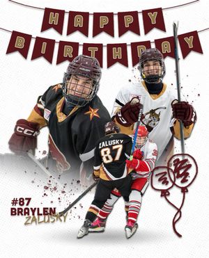 Image post by @txst_hockey on Instagram