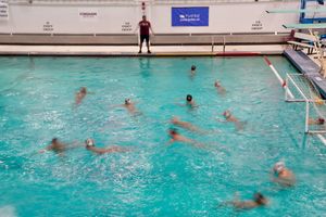 Image post by @fordhamwpolo on Instagram