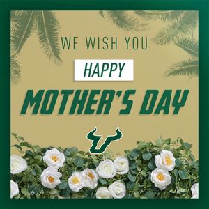 Image post by @usfvolleyball on Twitter