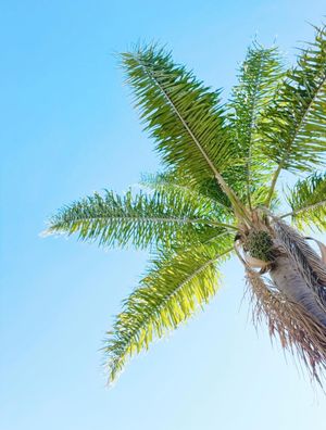 Image post by @kutridelta on Instagram